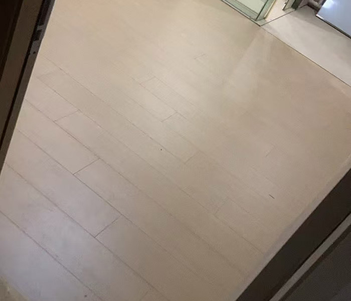 地板